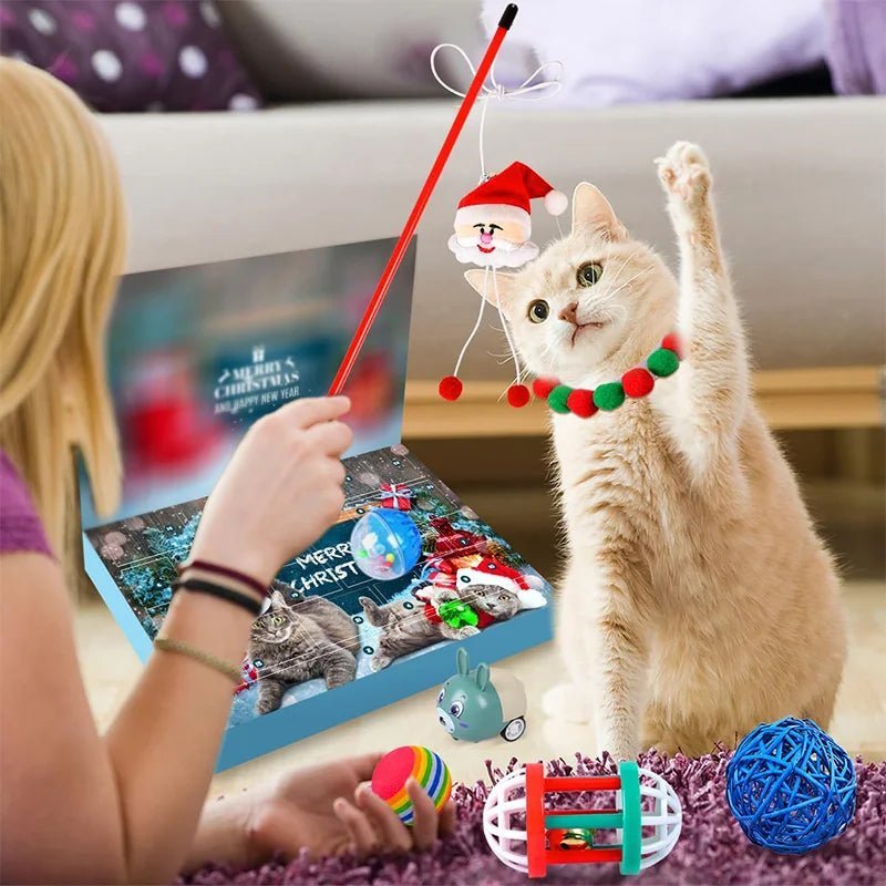 Advent Calendar for Cats with 23 Catnip Toys to Play