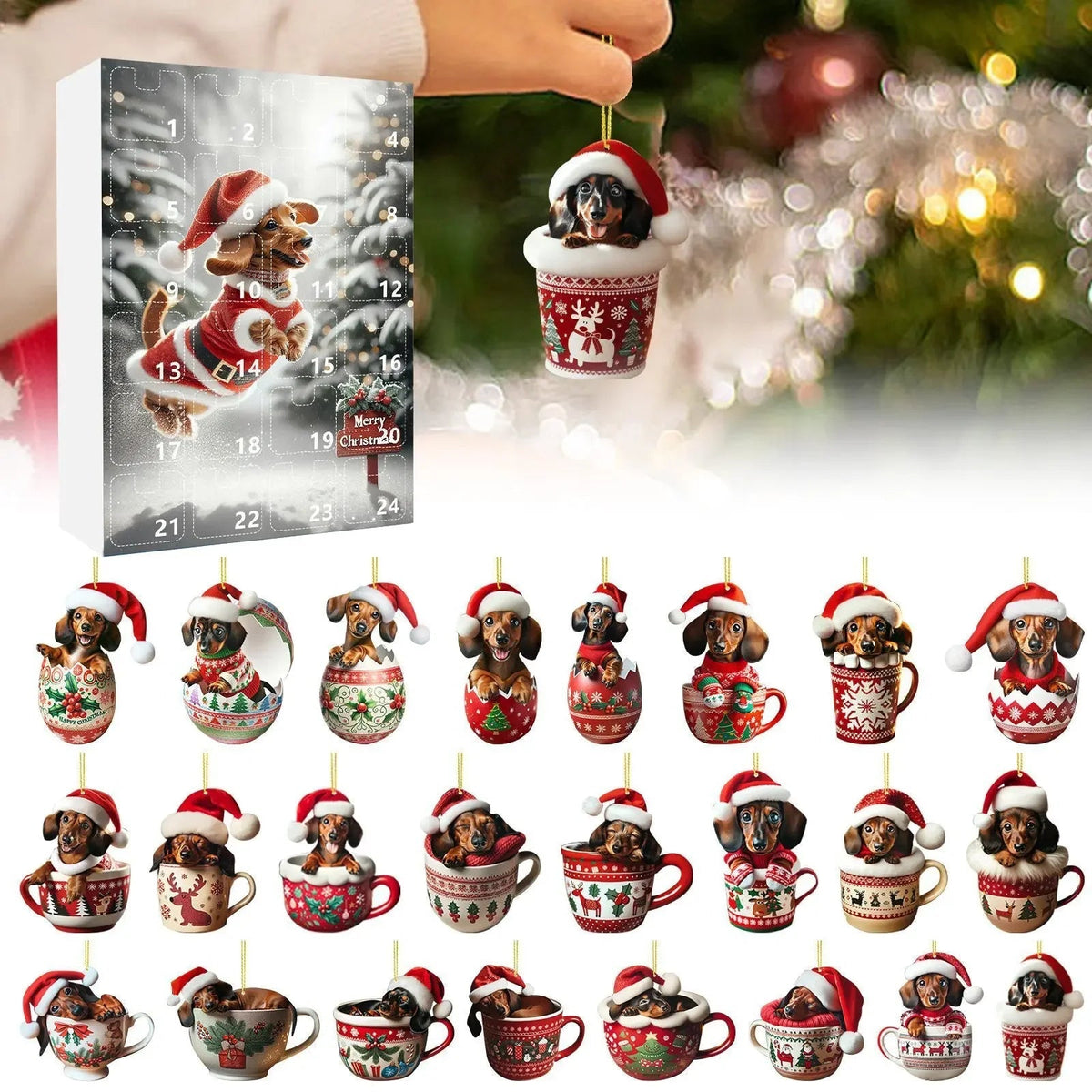 Advent Calendar Dachshund with an Ornament Display Panel