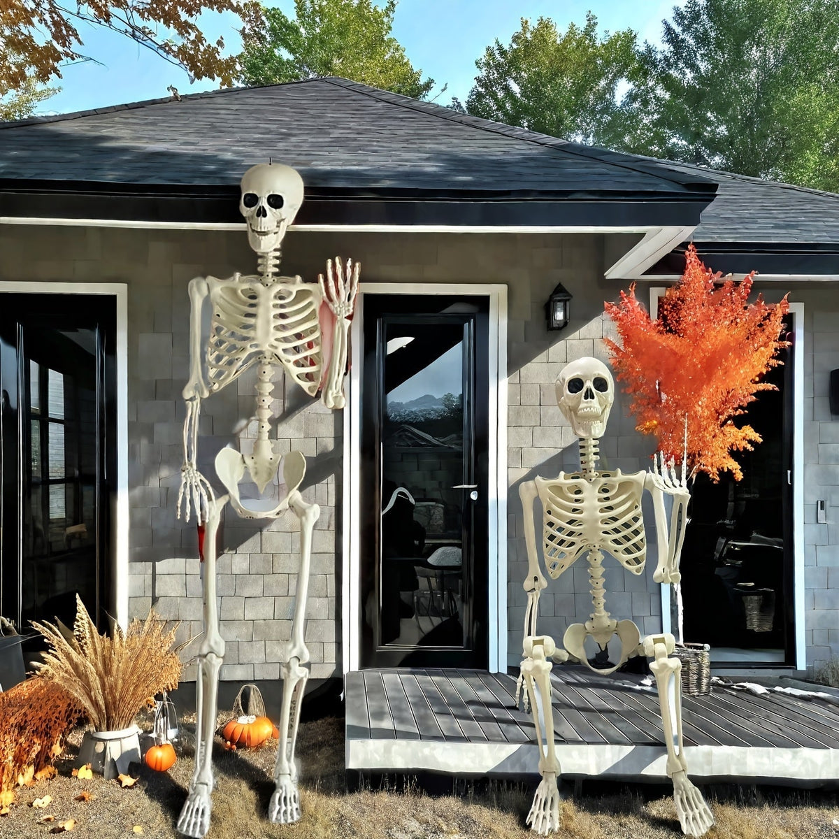 Large Halloween Skeleton 5.5ft Posable Full Body Figure for Indoor and Outdoor Displays