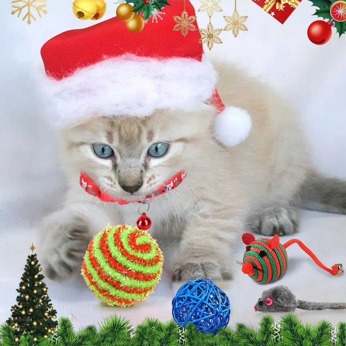 Advent Calendar for Cats with 24 Interactive Toys Inside