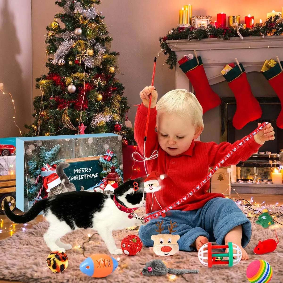 Advent Calendar for Cats with 24 Interactive Toys Inside