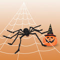 Giant Poseable Spider Decoration with Fuzzy Fur Bendable Wire Legs and Stretchy Web