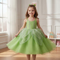 Fairy Halloween Costume Dress for Girls with Sheer Wings and Layered Tulle Skirt