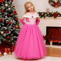 Girls Princess Costume Dress with Sheer Overlay Skirt Tiara and Gloves