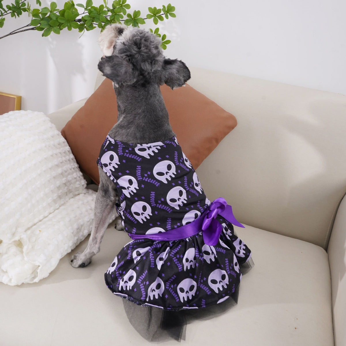 Halloween Costumes for Dogs Sleeveless Tutu Dress and Pet Outfit with Tulle Skirt Satin Bow