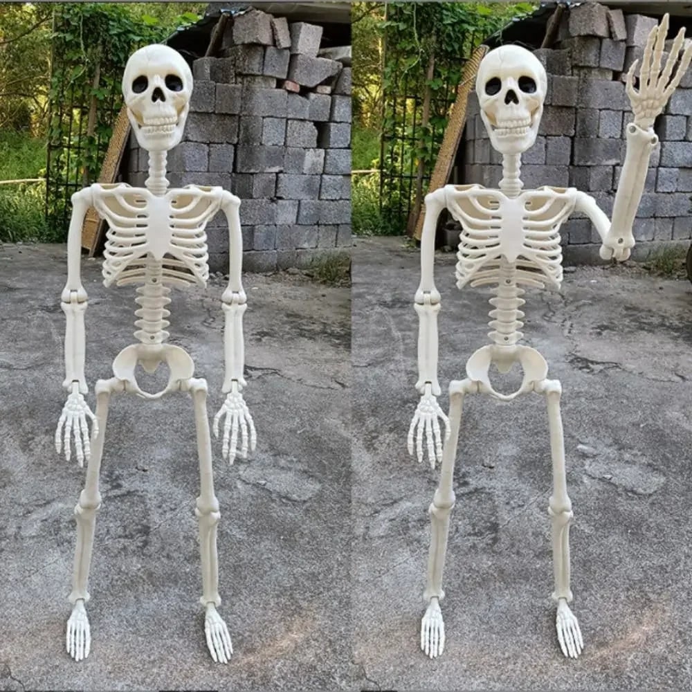 Halloween Skeleton Decorations with Poseable Joints for Indoor and Outdoor Display