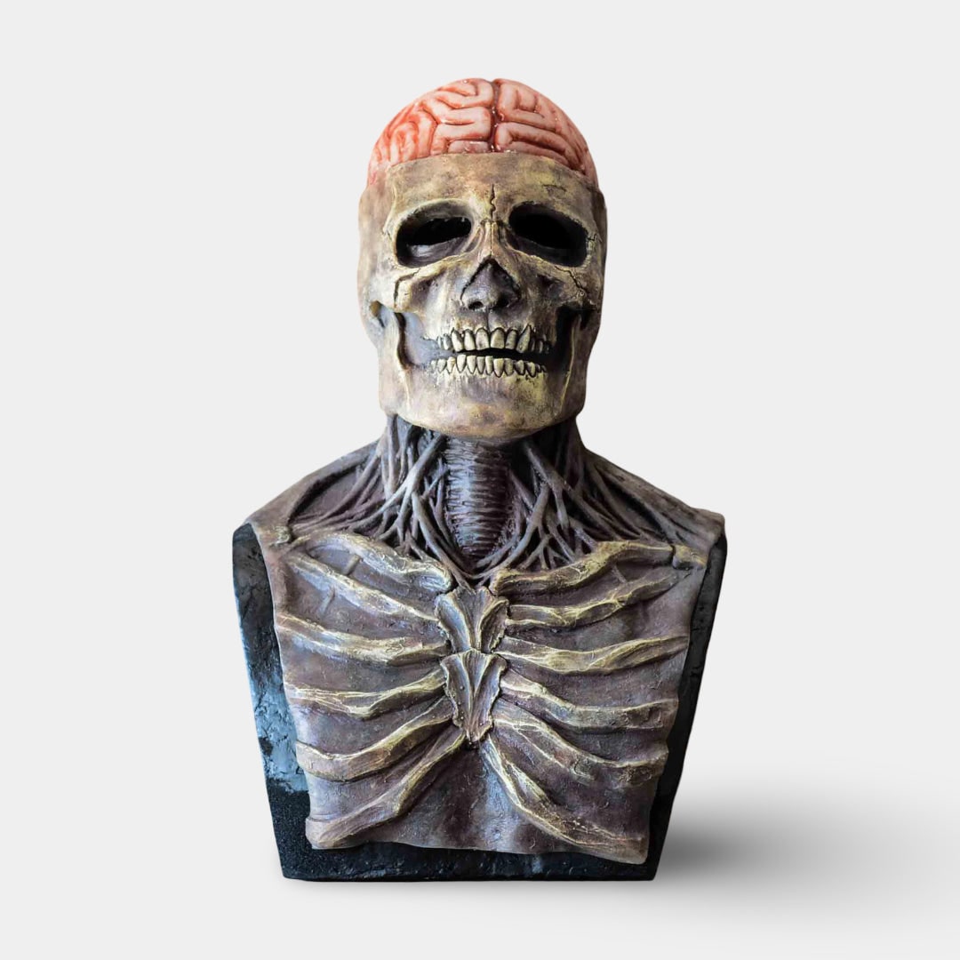 Halloween Skeleton Decorations Bust with Exposed Brain and Hollow Eye Sockets