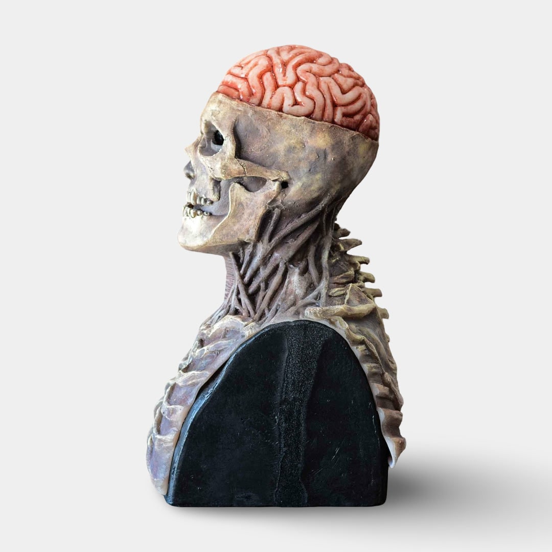 Halloween Skeleton Decorations Bust with Exposed Brain and Hollow Eye Sockets