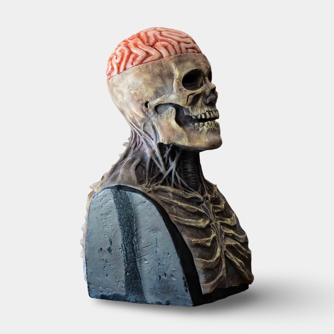 Halloween Skeleton Decorations Bust with Exposed Brain and Hollow Eye Sockets