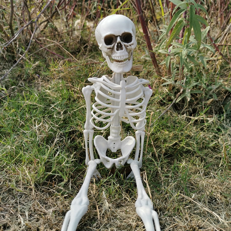 Posable Skeleton Halloween Decorations with Moulded Plastic Bones and Movable Jaw