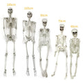 Posable Skeleton Halloween Decorations with Moulded Plastic Bones and Movable Jaw