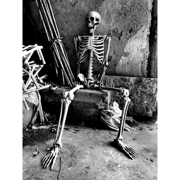 Posable Skeleton Halloween Decorations with Moulded Plastic Bones and Movable Jaw
