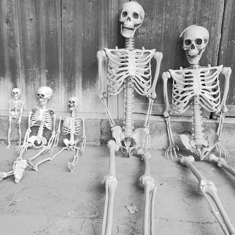 Posable Skeleton Halloween Decorations with Moulded Plastic Bones and Movable Jaw