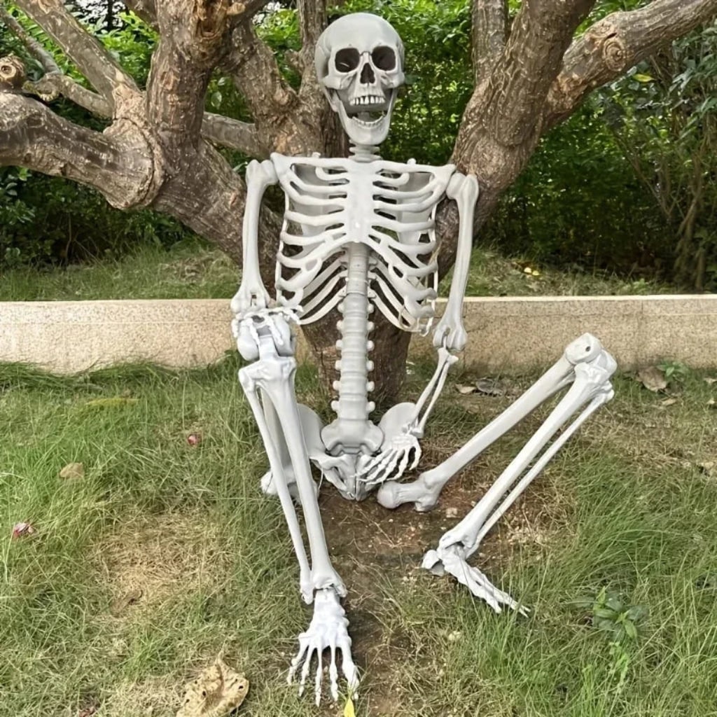 Halloween Skeleton Life Size Poseable Prop with Articulated Joints and Movable Jaw