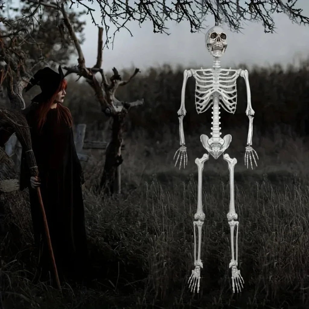 Halloween Skeleton Life Size Poseable Prop with Articulated Joints and Movable Jaw