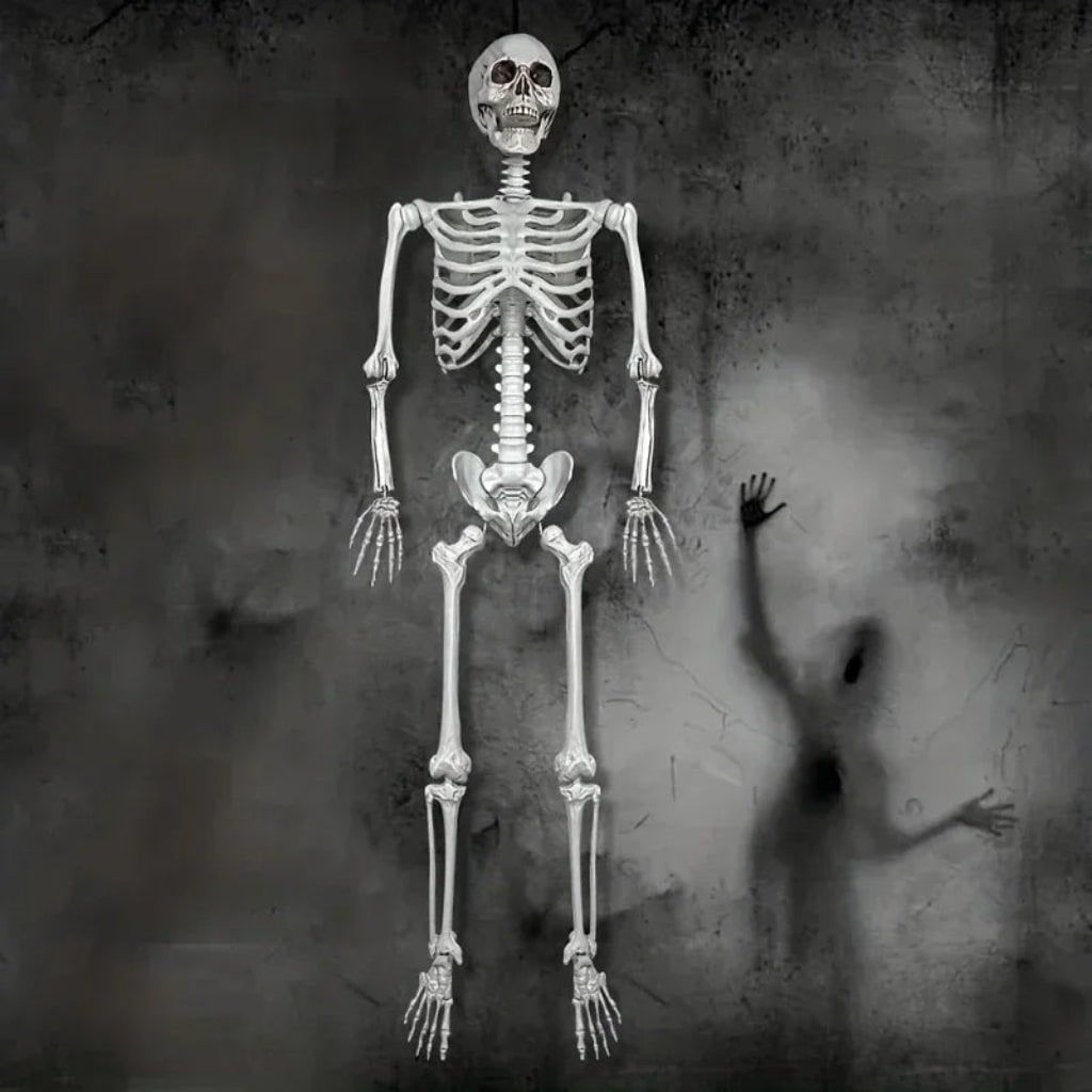 Halloween Skeleton Life Size Poseable Prop with Articulated Joints and Movable Jaw