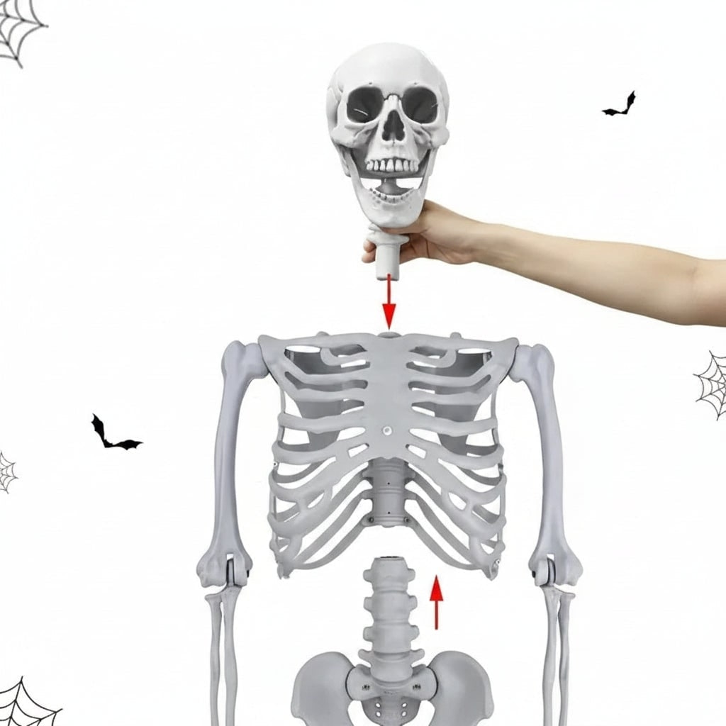 Halloween Skeleton Life Size Poseable Prop with Articulated Joints and Movable Jaw