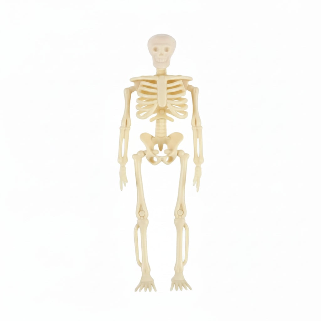 Mini Posable Halloween Skeleton Decorations in Moulded Plastic with Jute Twine