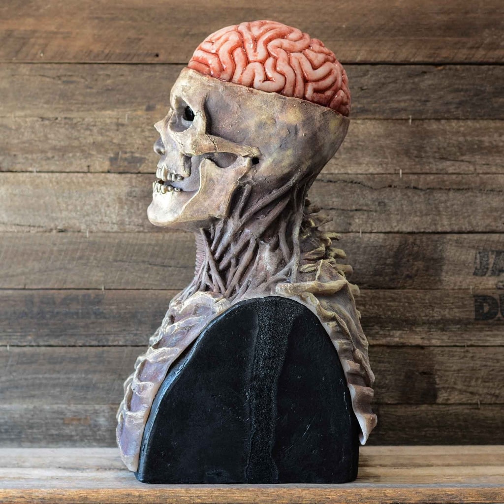 Halloween Costume and Mask with Exposed Brain Skeleton Chest Bib Full Head Latex Horror