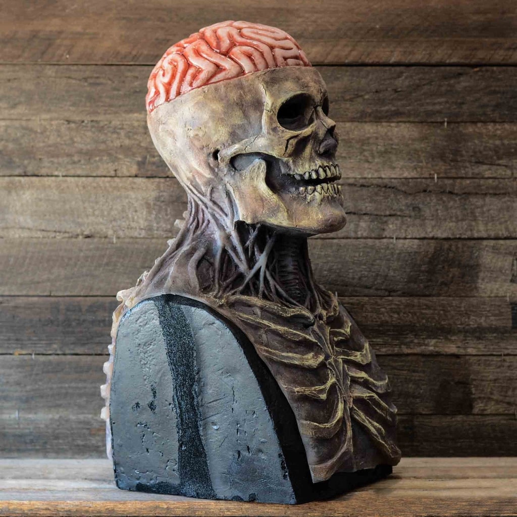 Halloween Costume and Mask with Exposed Brain Skeleton Chest Bib Full Head Latex Horror
