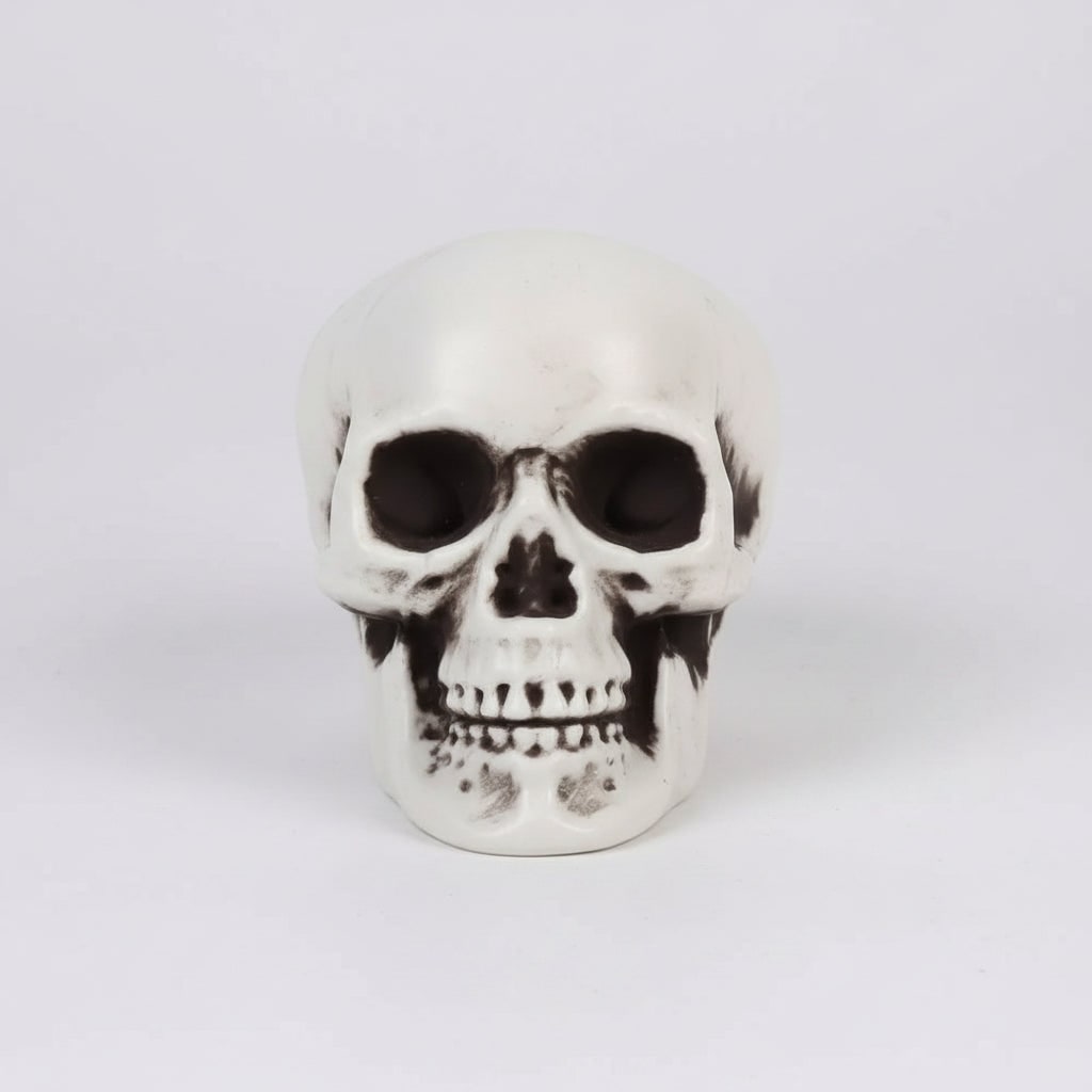 Mini Halloween Skull Props in Moulded Plastic with Matte Finish for Party Displays