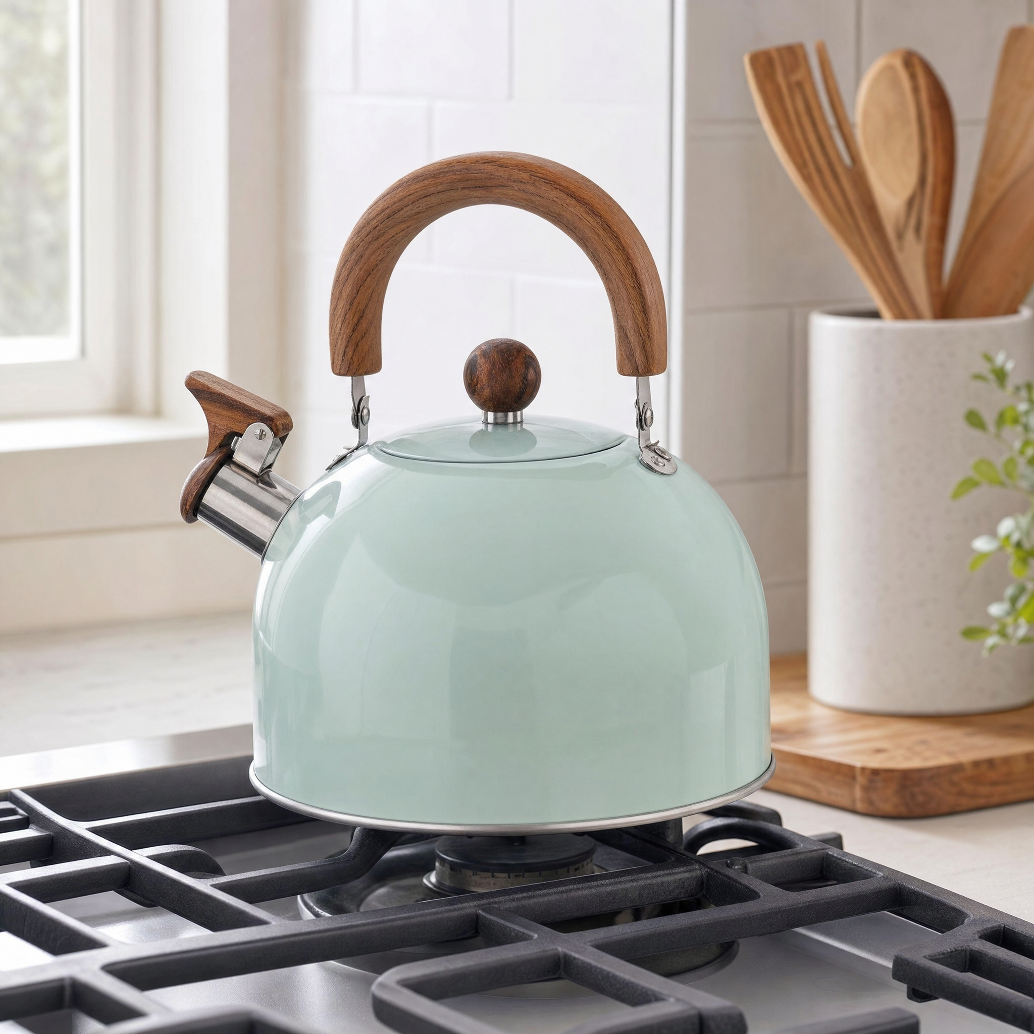 Whistling Kitchen Kettle