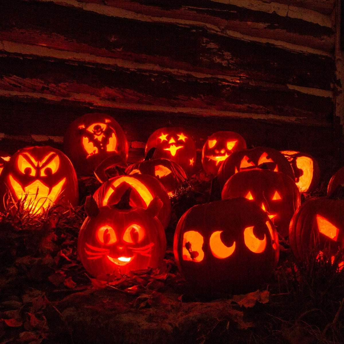 Halloween Pumpkin Carving Kit with 13 Stainless Steel Saws and Sculpting Tools